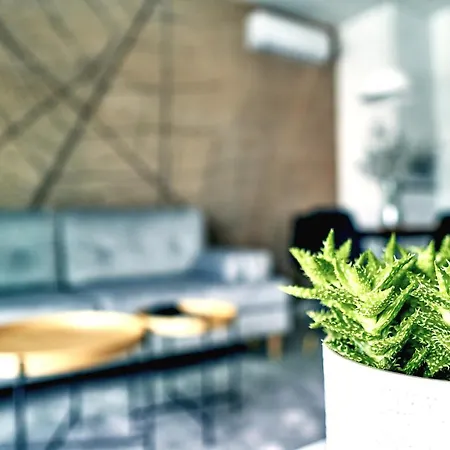 Mennica Apartament *